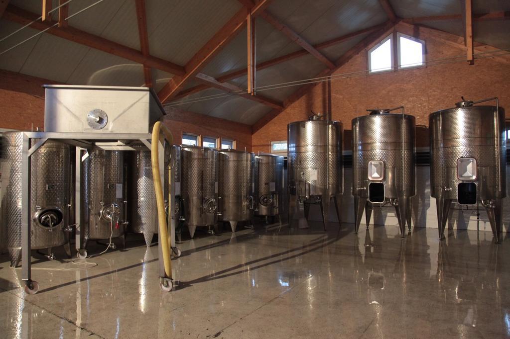 Winzerzimmer - Weingut Tinhof Eisenstadt Exterior foto