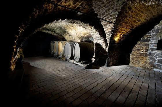 Winzerzimmer - Weingut Tinhof Eisenstadt Exterior foto