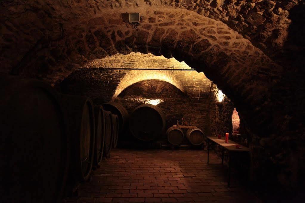 Winzerzimmer - Weingut Tinhof Eisenstadt Exterior foto